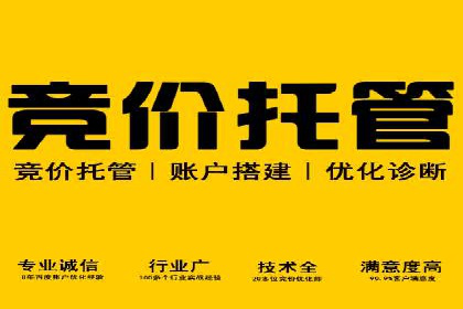 初探SEM推广代运营的多种成功模式